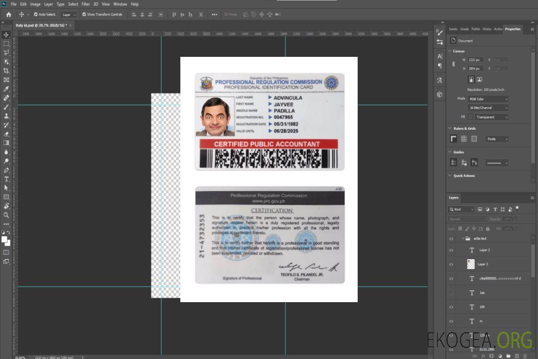 Carte d'identité professionnelle des Philippines template Carte d'identité professionnelle des Philippines template